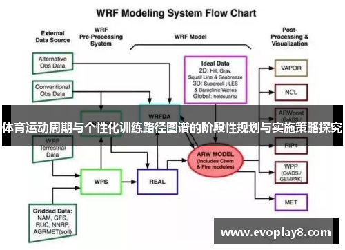 体育运动周期与个性化训练路径图谱的阶段性规划与实施策略探究