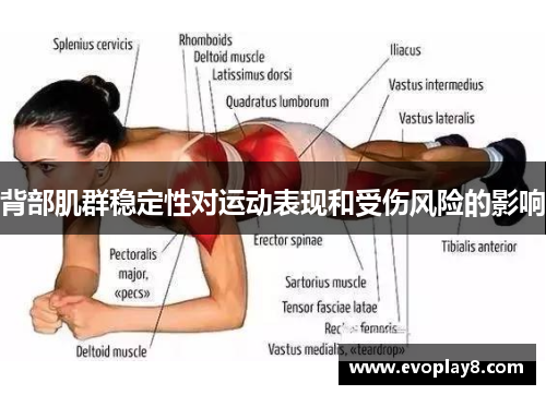 背部肌群稳定性对运动表现和受伤风险的影响